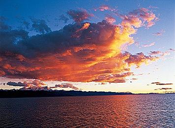 《完美黑暗》重启版可能是即时服务游戏