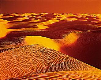 以身证道，百世不悔！精品独立游戏《轮回修仙路》今日steam开售！