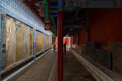 Epic喜加一！开放世界生存建造游戏《夜莺传说》