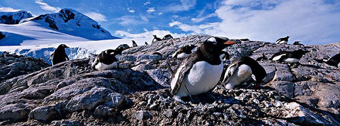 小孩沉迷《黑神话》偷偷充钱 腾讯新闻辟谣：假报道
