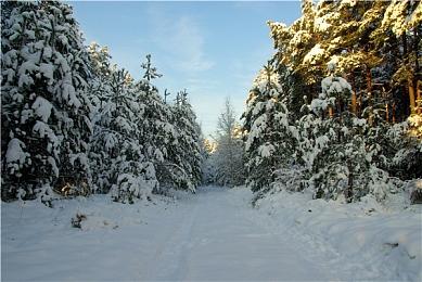 《赵云传：云汉腾龙》众筹PV 早鸟key48元交个朋友